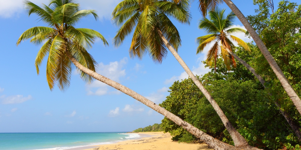 martinique-visite-hors-saison-mai-plage-les-salines