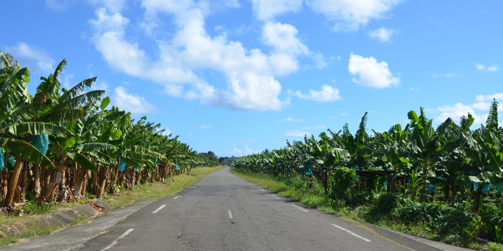 martinique-visite-hors-saison-mai-sans-embouteillage